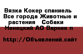 Вязка Кокер спаниель - Все города Животные и растения » Собаки   . Ненецкий АО,Варнек п.